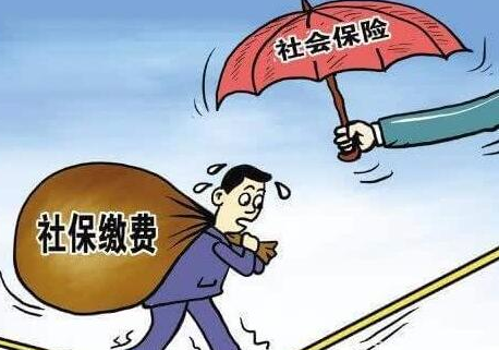 社保怎么交