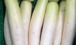 凉拌白萝卜丝的做法