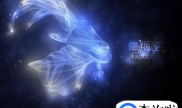 摩羯座女生的性格分析