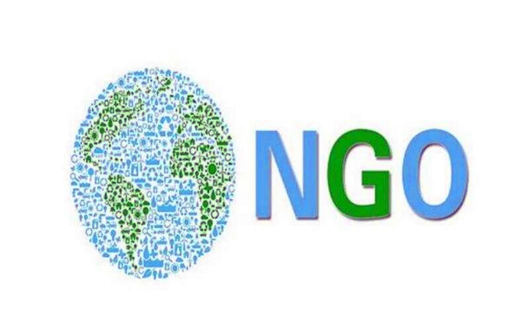 ngo是什么意思