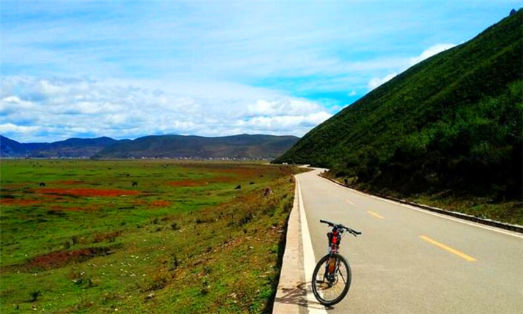 徘徊是什么意思