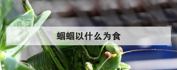 蝈蝈以什么为食