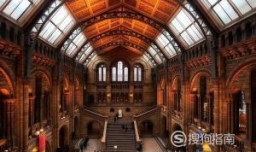 museum是什么意思