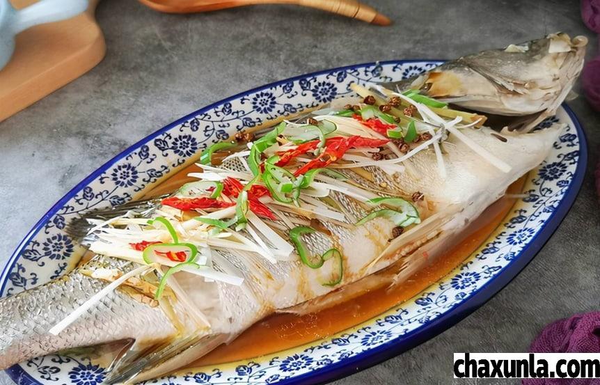 鱼那个部位的肉好吃