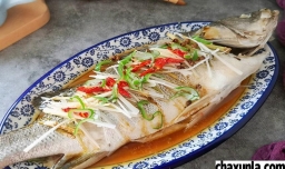 鱼那个部位的肉好吃