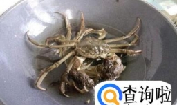 怎么分辨市场上的真假阳澄湖大闸蟹？