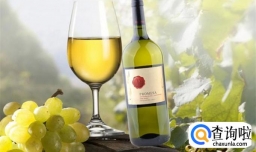 白葡萄酒的喝法