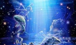 哪个星座最好追？