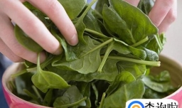 如何做出彩色的面条