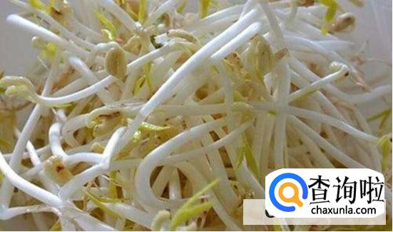 为什么用热水绿豆芽发的快