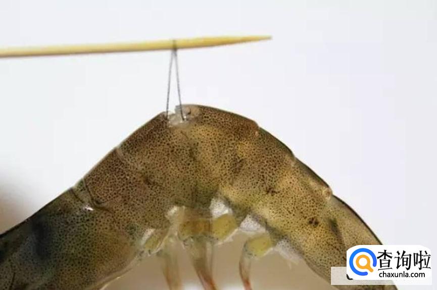 正宗干锅香辣虾的做法