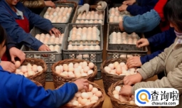 致富创业好项目