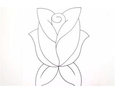 玫瑰花简笔画