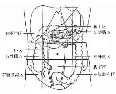 腹部九区的划分