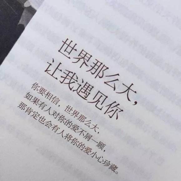 相逢何必曾相识什么意思