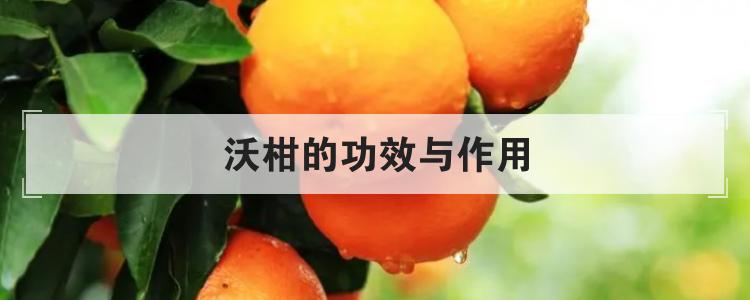 沃柑的功效与作用br