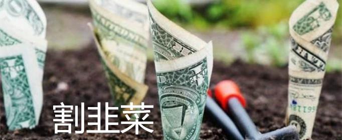 割韭菜是什么梗