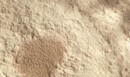 怎样做平底锅版的咸甜味烧饼？