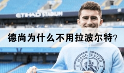 德尚为什么不用拉波尔特？