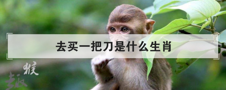 去买一把刀是什么生肖