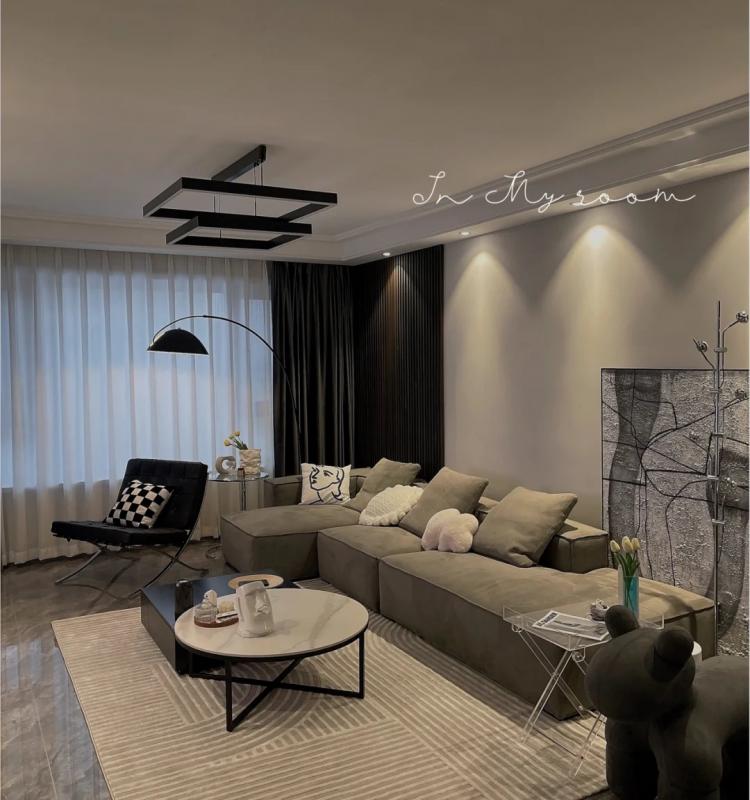 扫地机器人不适合什么样的家庭使用?