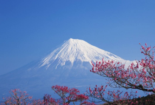 富士山在哪里