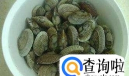 花蛤文蛤怎么炒