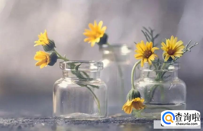 我怎么潇洒怎么活合适吗?