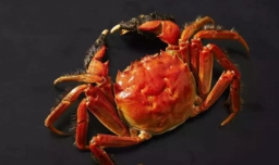 活螃蟹怎么保存一夜