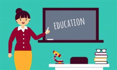 teacher是什么意思