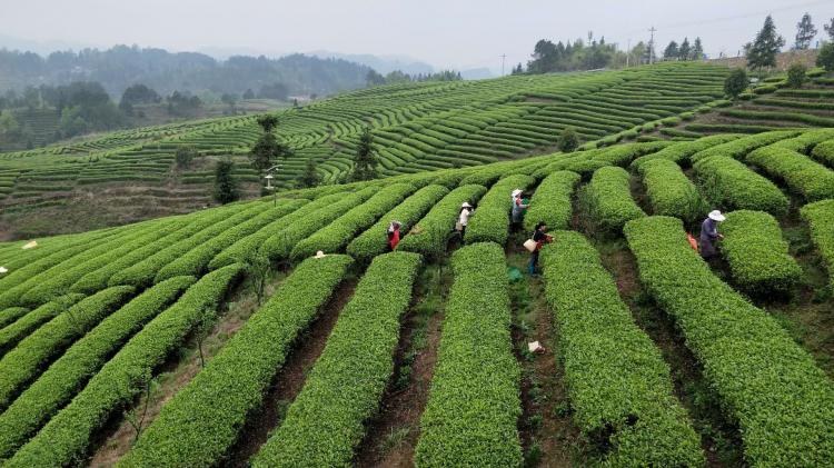 我国精耕细作农业存在于哪些王朝