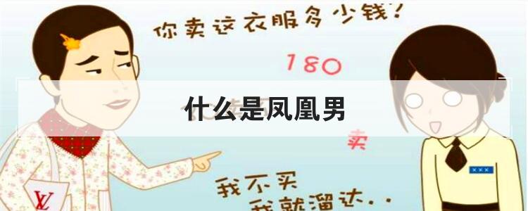 什么是凤凰男