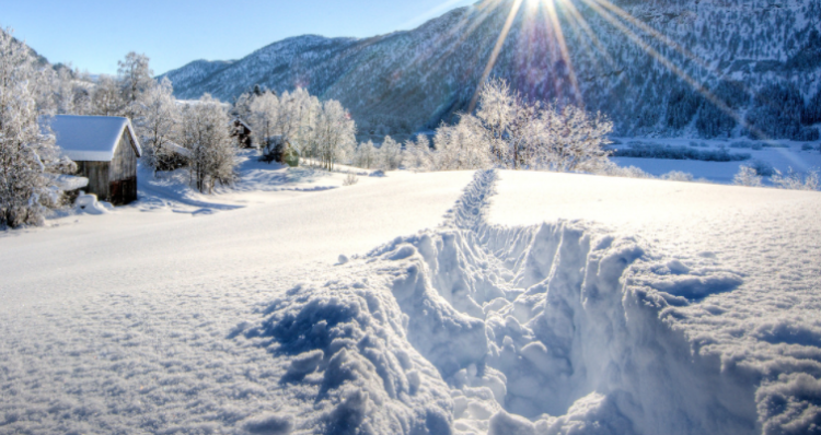 霎时的意思是什么