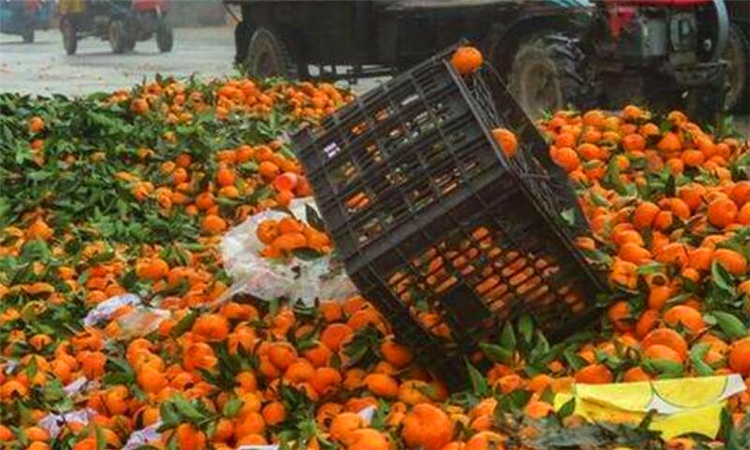 滞销是什么意思