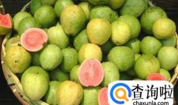 番石榴的6大选购技巧