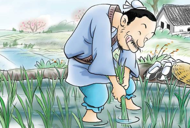 拔苗助长的故事是什么