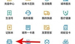 码上挪车怎么申购