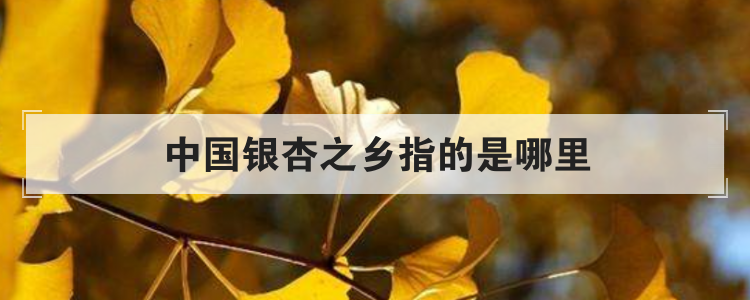 中国银杏之乡指的是哪里
