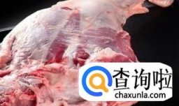 怎样做当归生姜羊肉汤