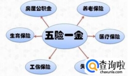 新农合和五险一金的区别