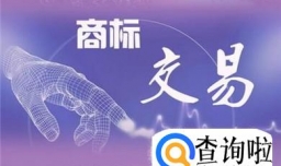 第六类商标转让流程有哪些？