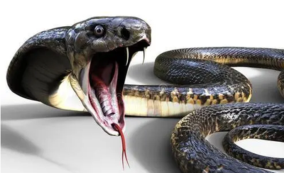 人类曾经的天敌