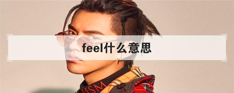feel什么意思