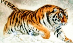 有关虎的成语有那些