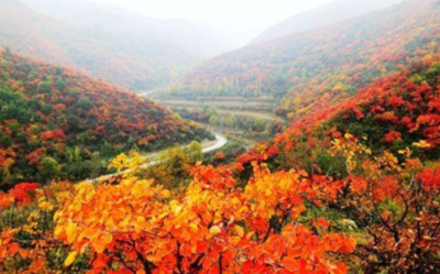 霜叶红于二月花是什么季节的?