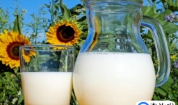 怀孕初期吃什么对胎儿发育好