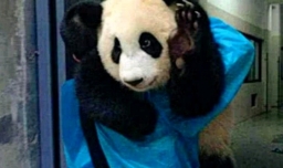 陕西多名幼童遭老师抽打 对此你咋看？你上学时有过类似遭遇吗？