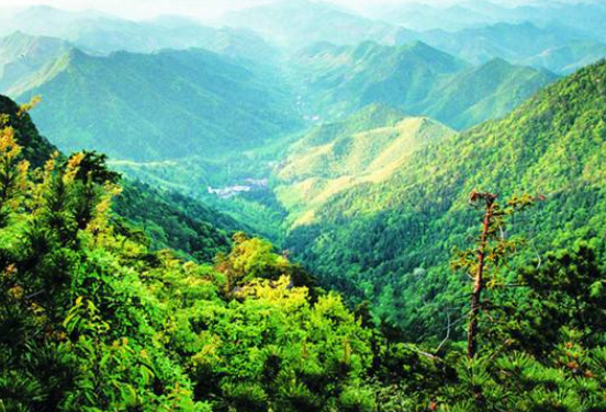 天目山在哪里