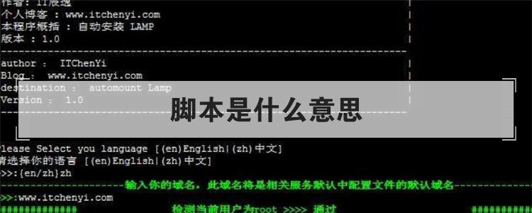 脚本是什么意思