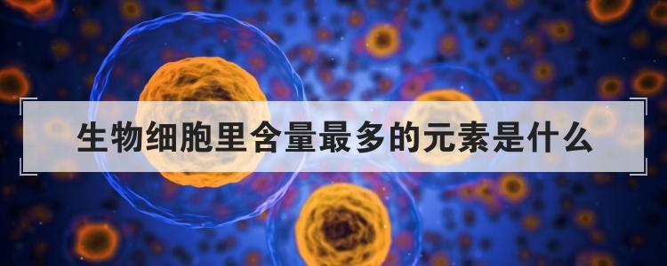 生物细胞里含量最多的元素是什么